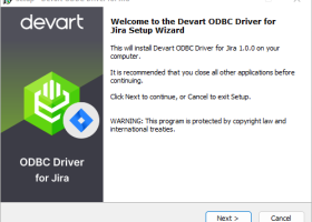 Jira ODBC Driver by Devart screenshot