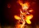 Fire Everywhere Animated Wallpaper Fire Everywhere Animated Wallpaper