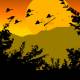 Paradise Birds Screensaver Paradise Birds Screensaver